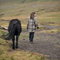 Allwetterjacke Jóannes Patursson Faroese Tartan - braun